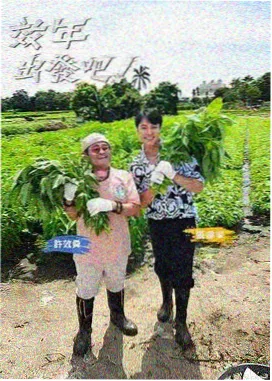 晚风食堂综艺海报占位图